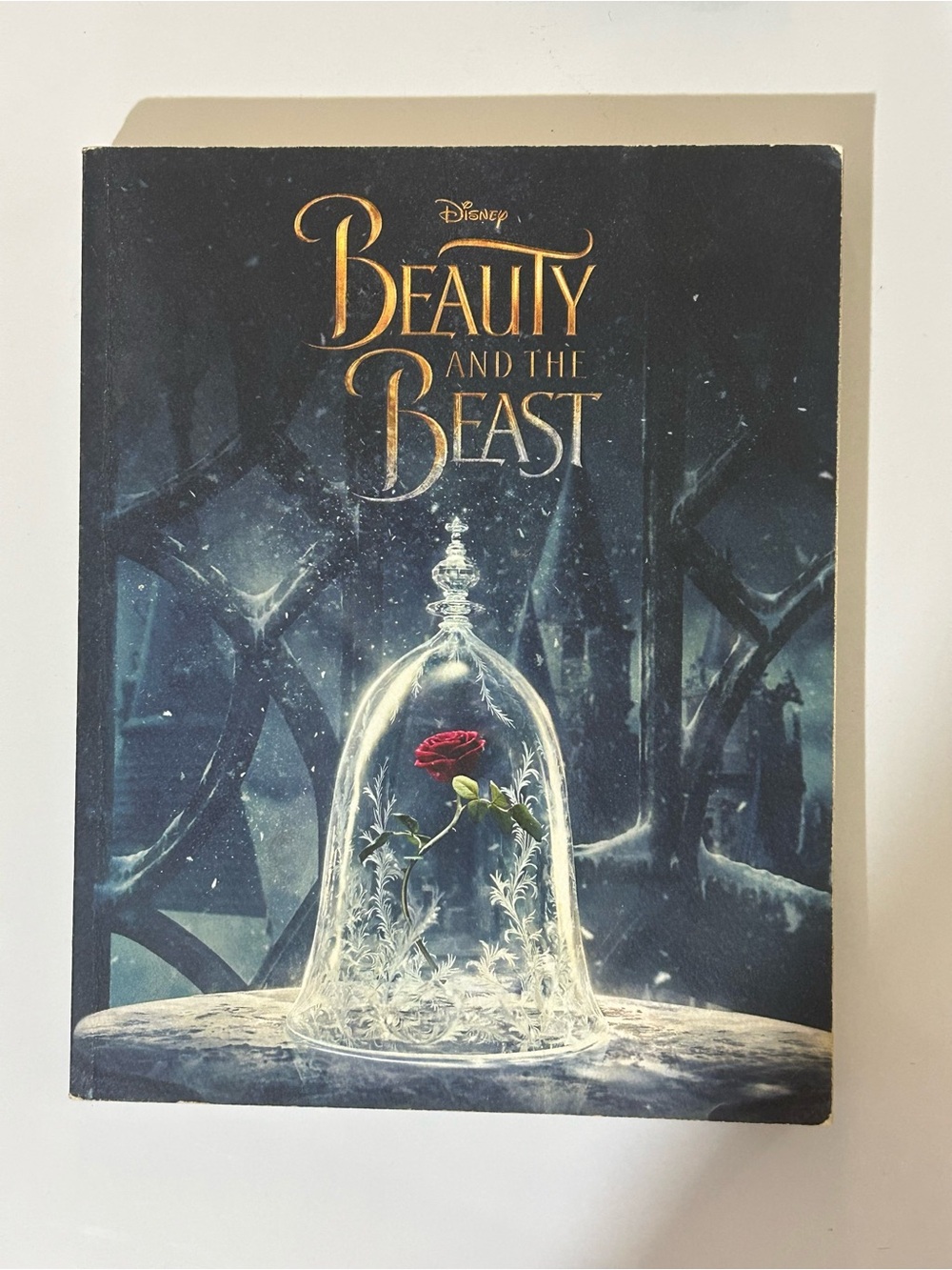 Disney Book